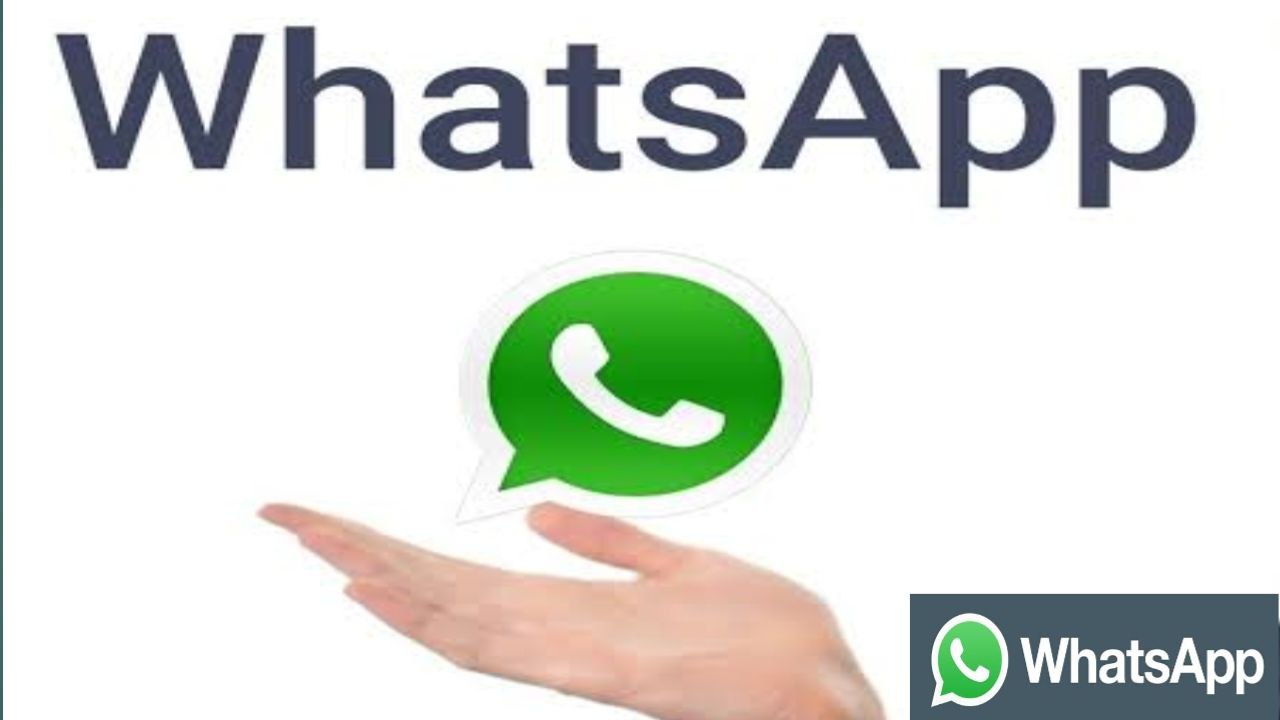 This Rule Removed from WhatsApp