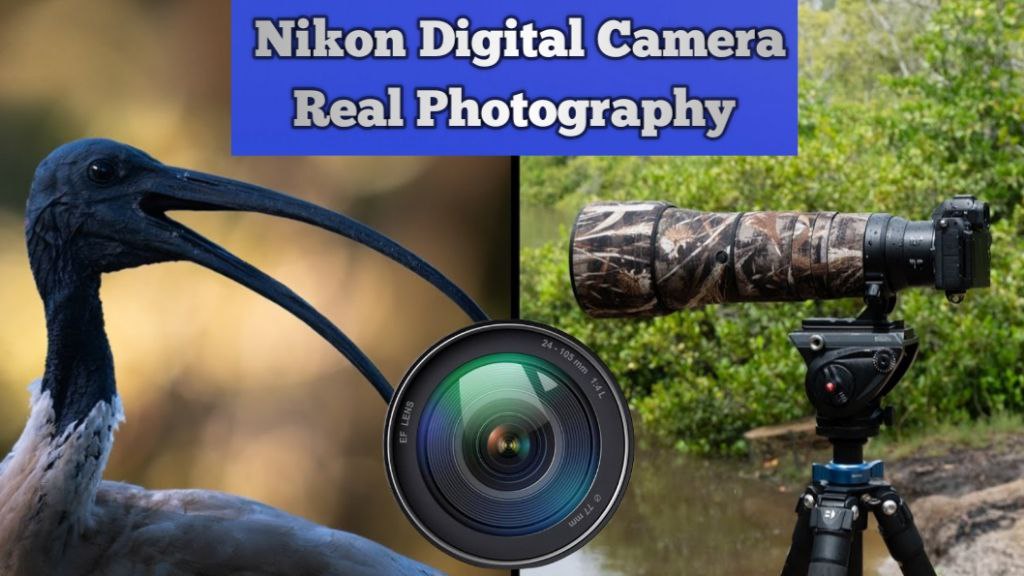Nikon Digital Camera Z50II